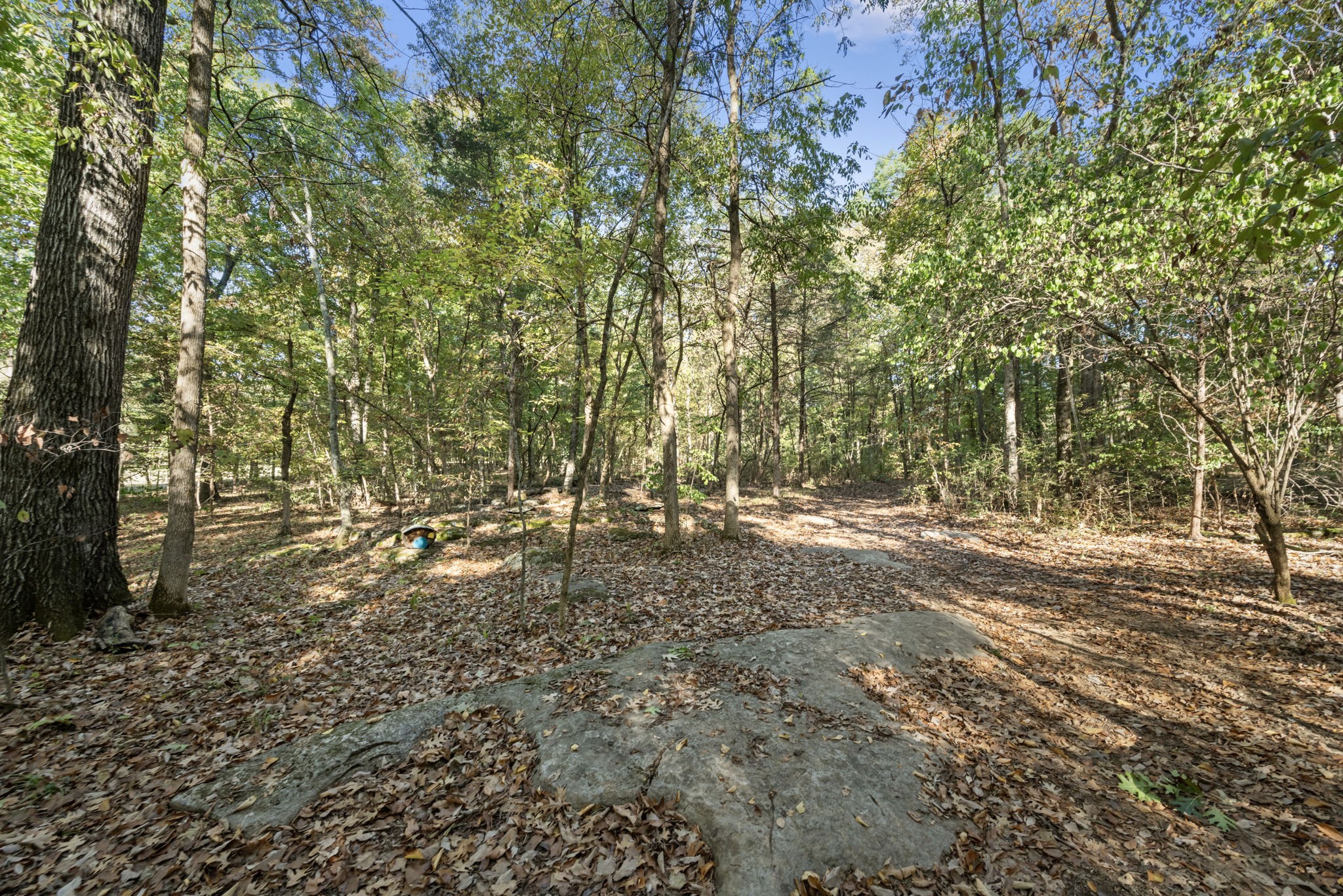 2399 Thompson Rd
