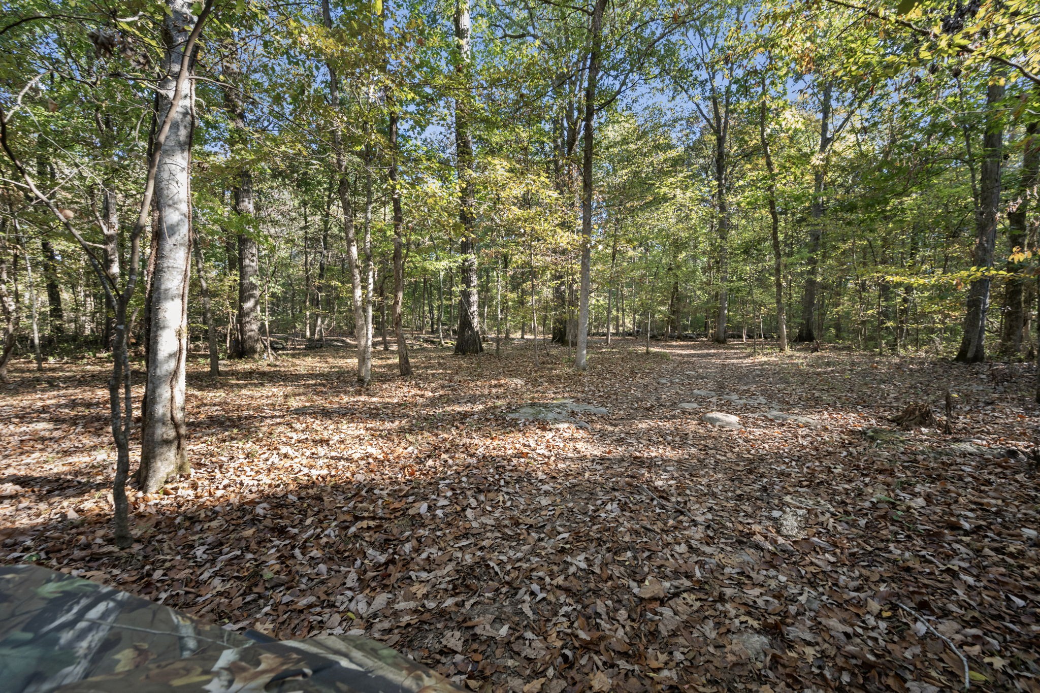 2399 Thompson Rd