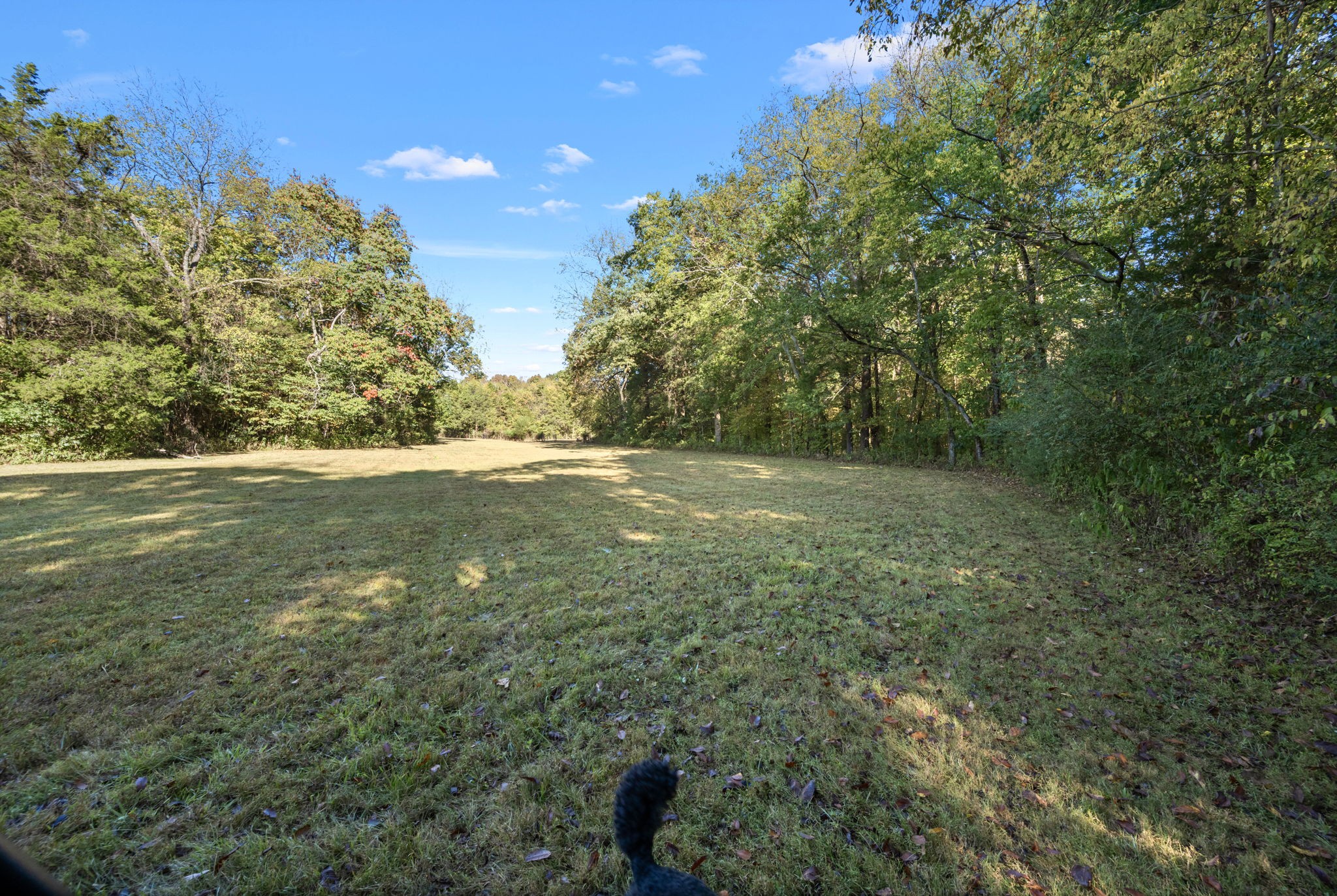 2399 Thompson Rd