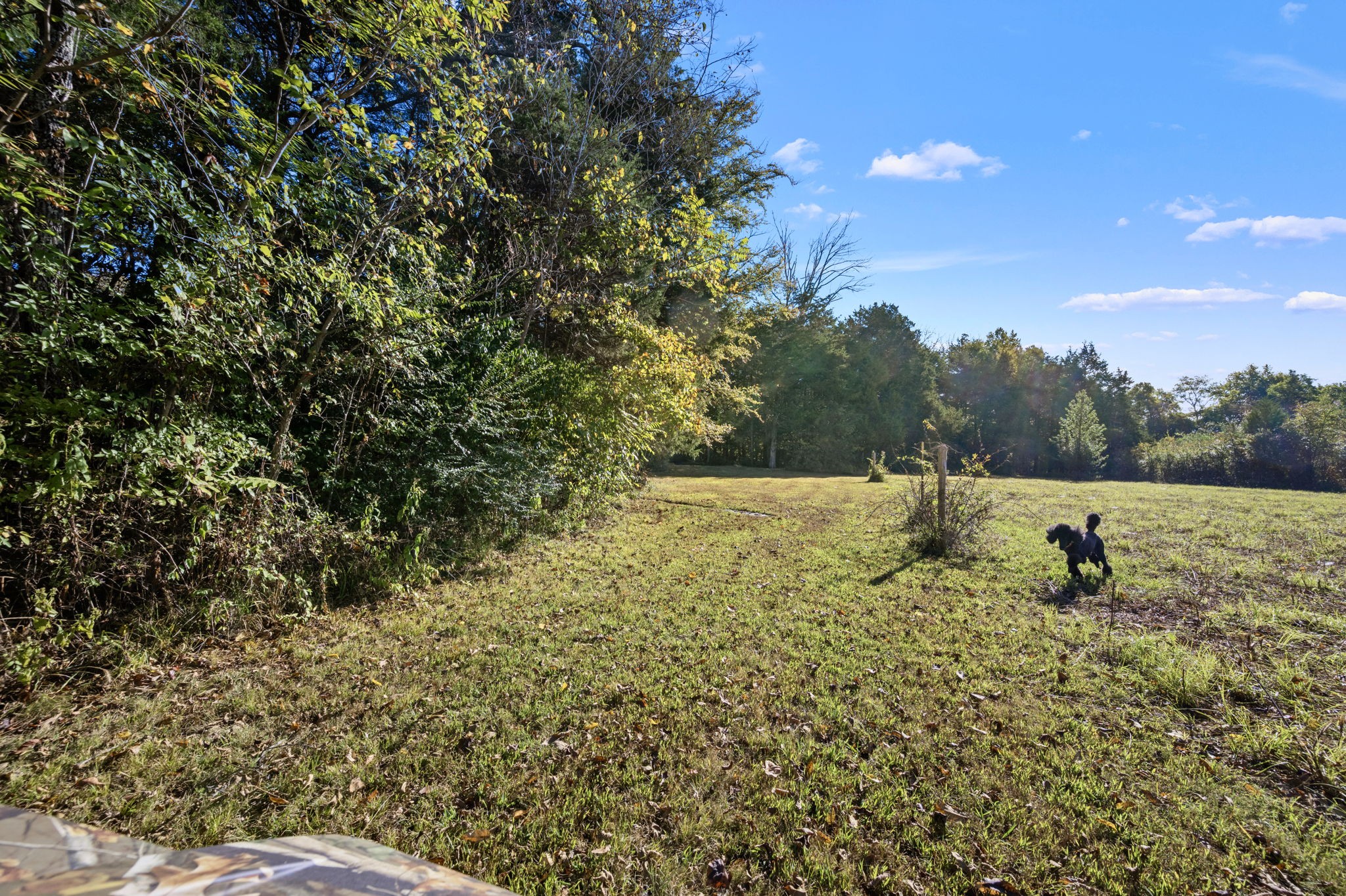 2399 Thompson Rd