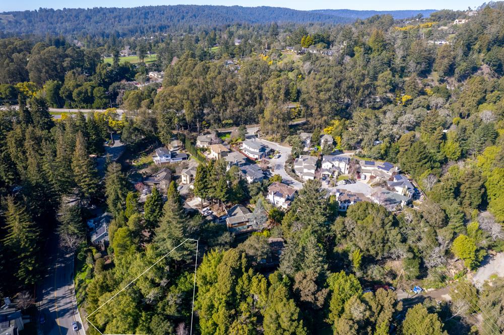 115 Carbonera Court