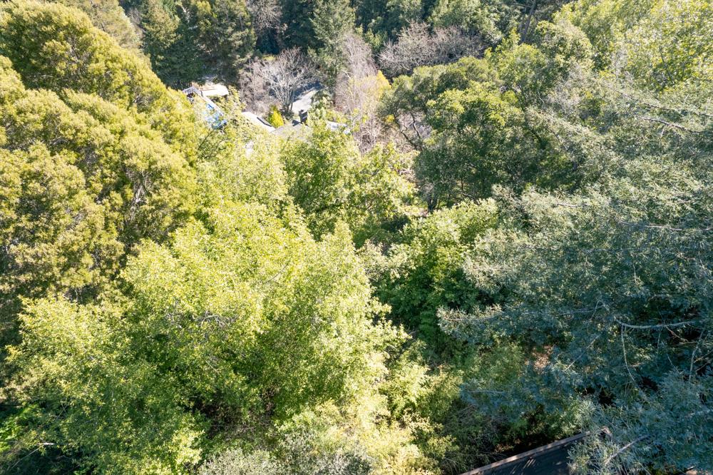 115 Carbonera Court