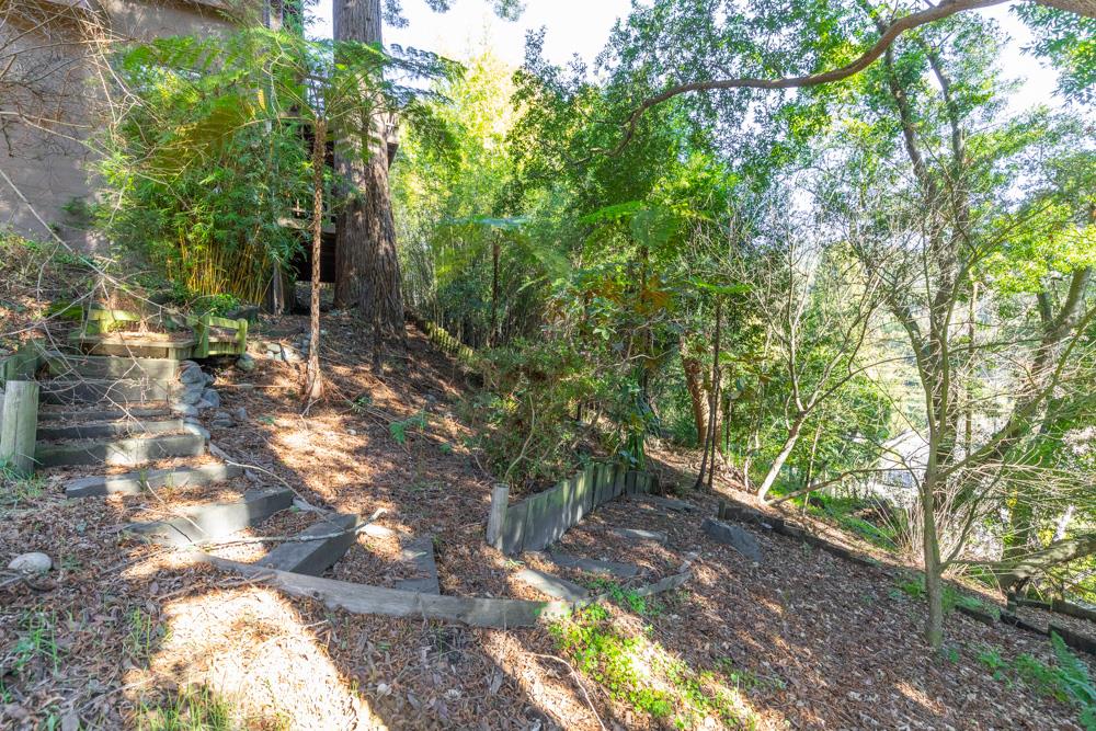 115 Carbonera Court