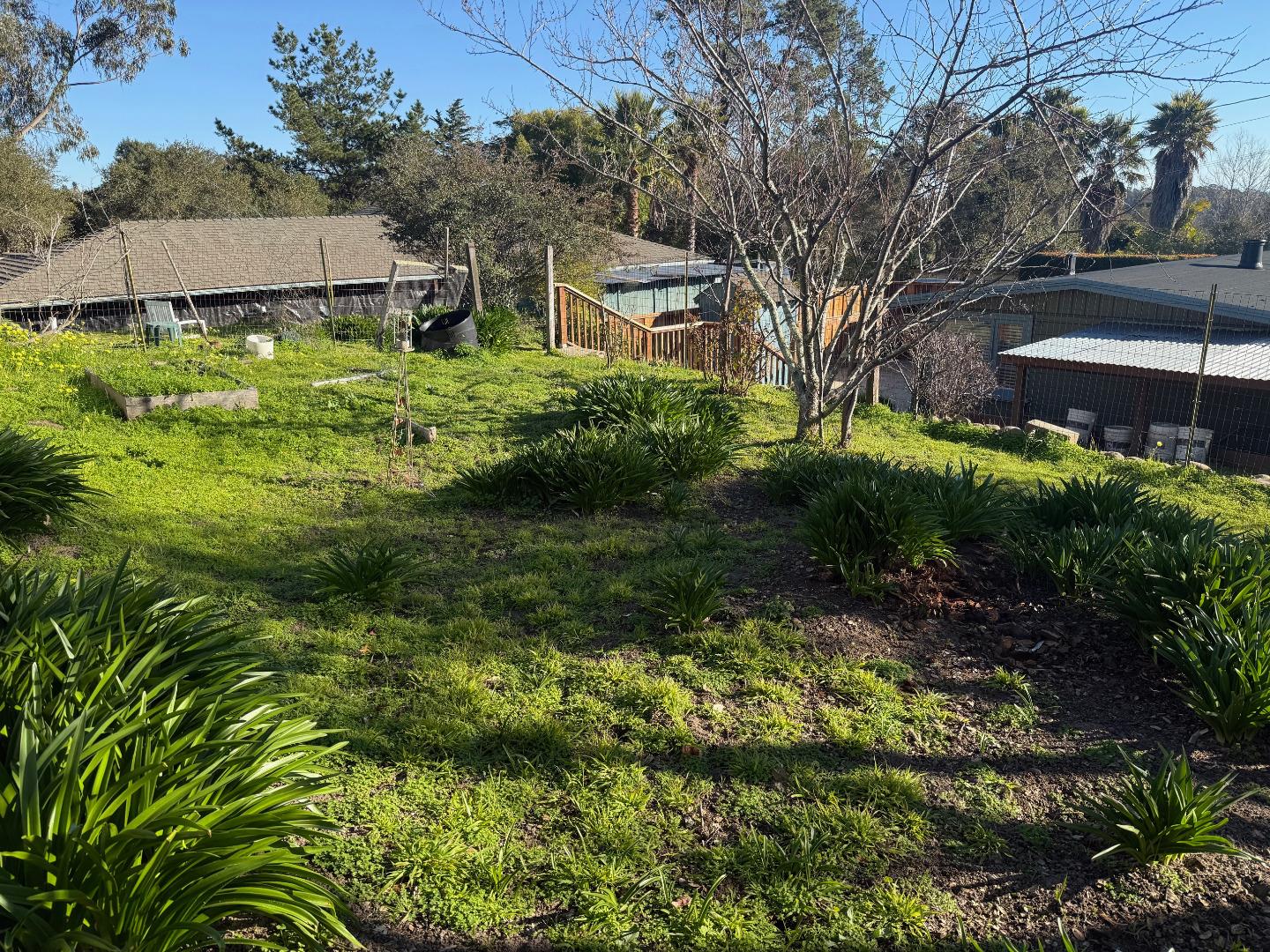 3460 Maplethorpe Lane