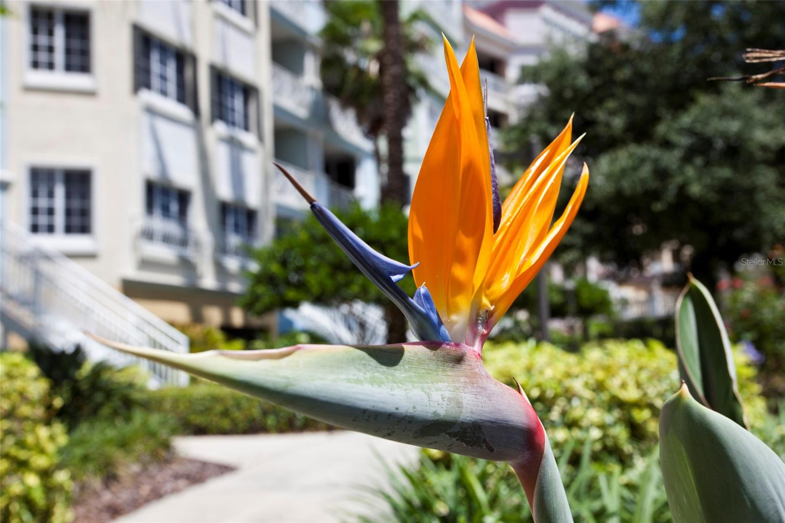 308 HARBOR VILLAGE PT N