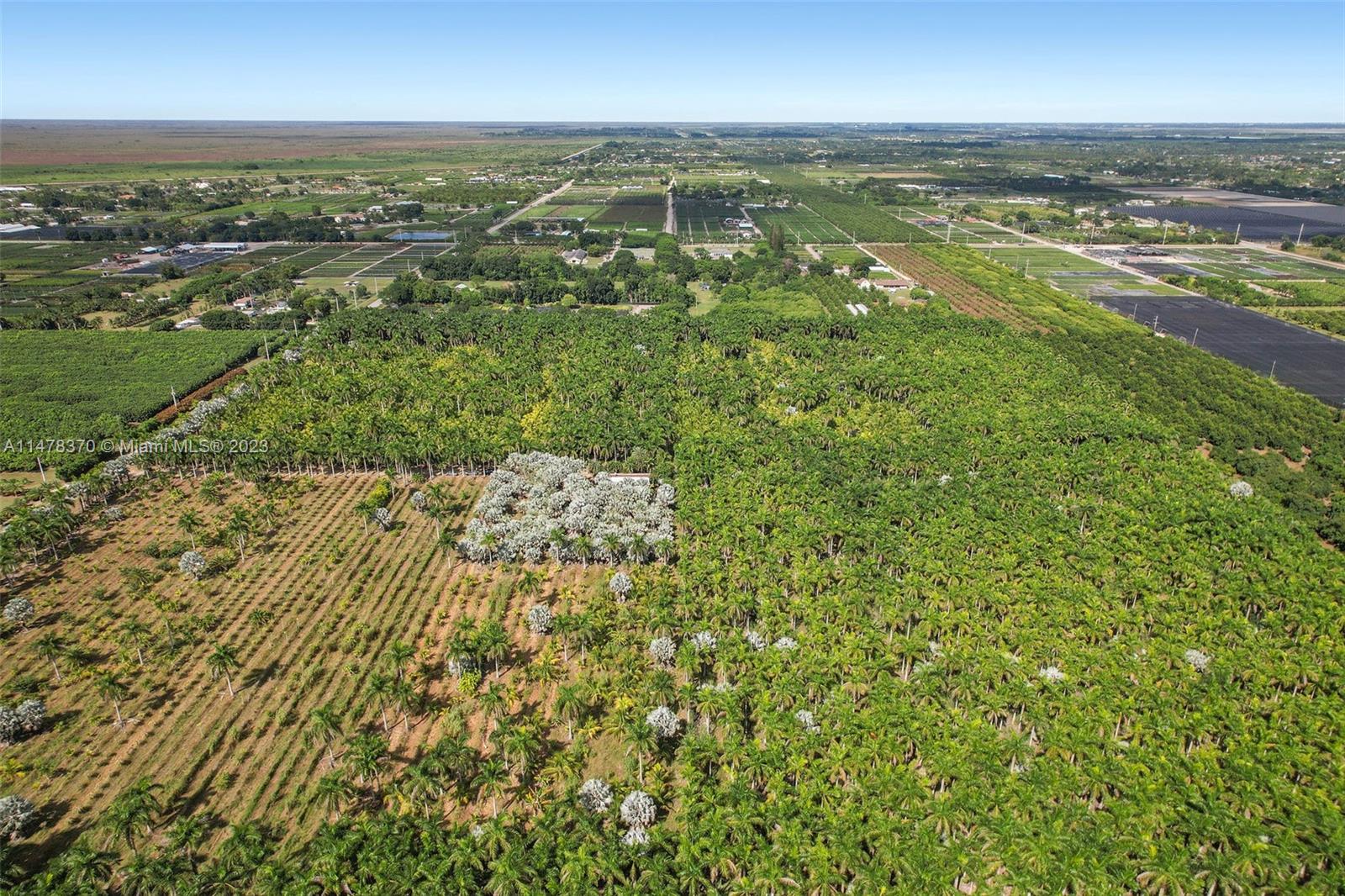 SW 220th Street & SW 207th Avenue