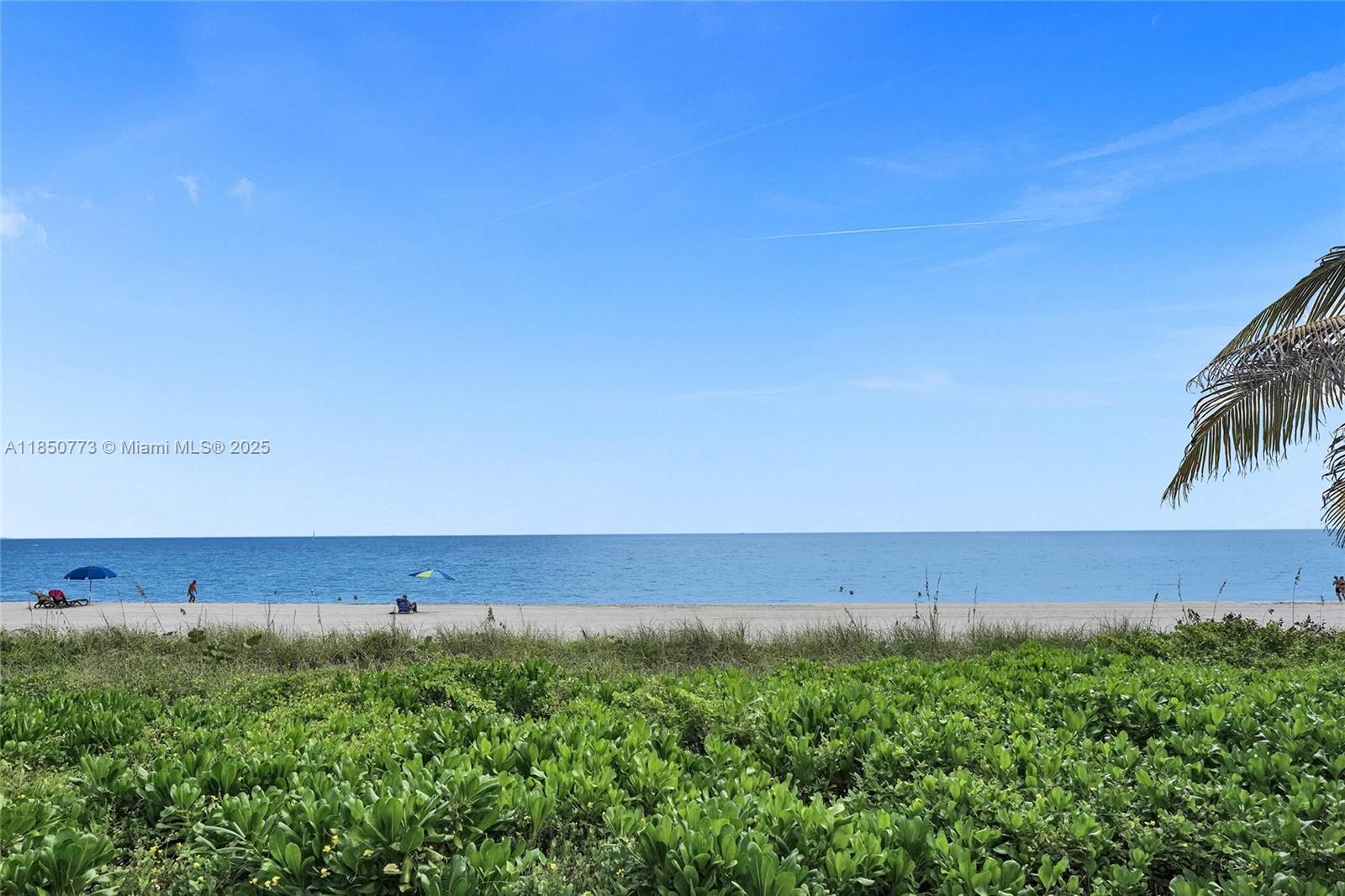 1920 S Ocean Dr # 16B