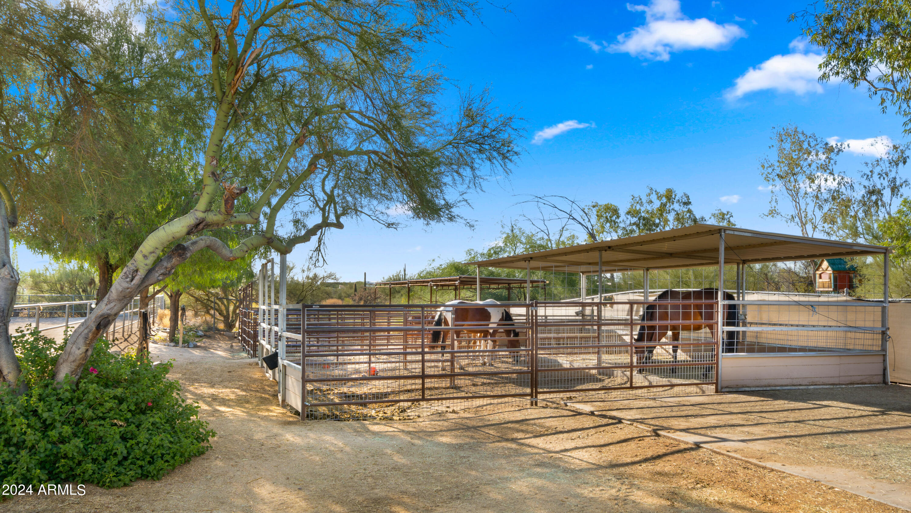 6348 E WILDCAT Drive