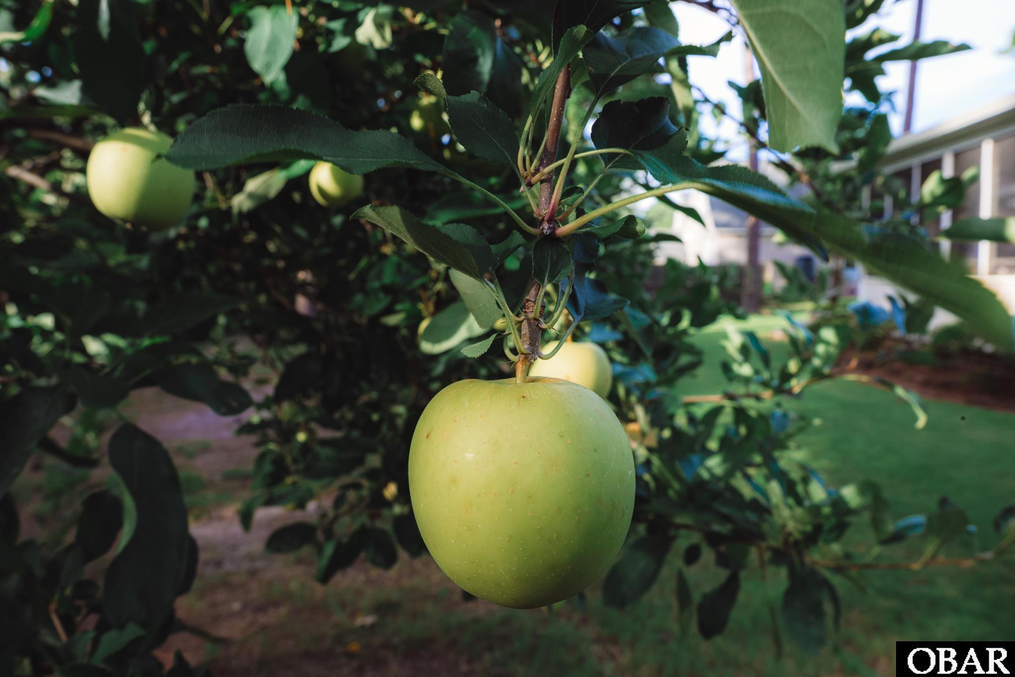 127 Brakewood Road Lot 6