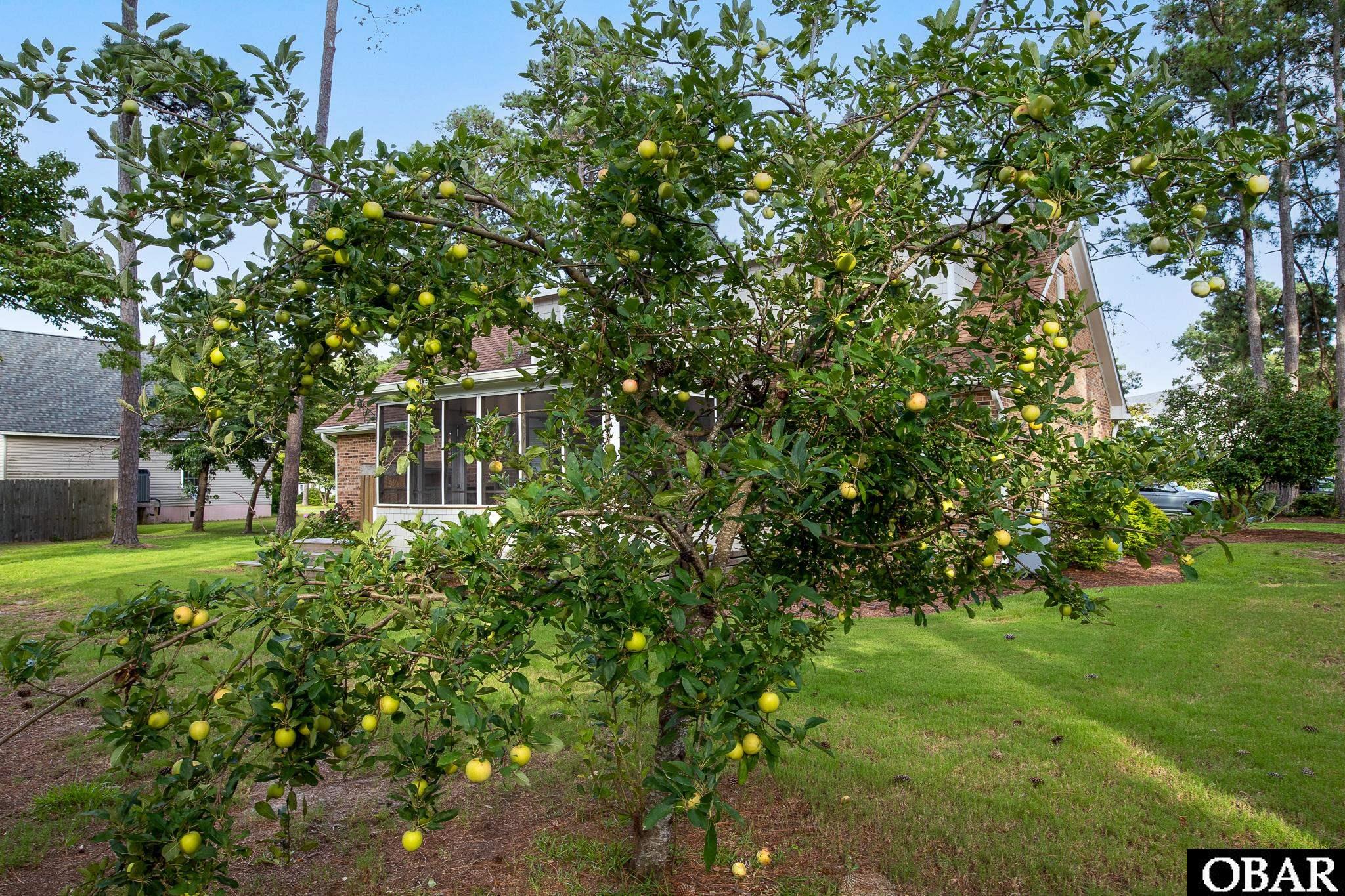 127 Brakewood Road Lot 6