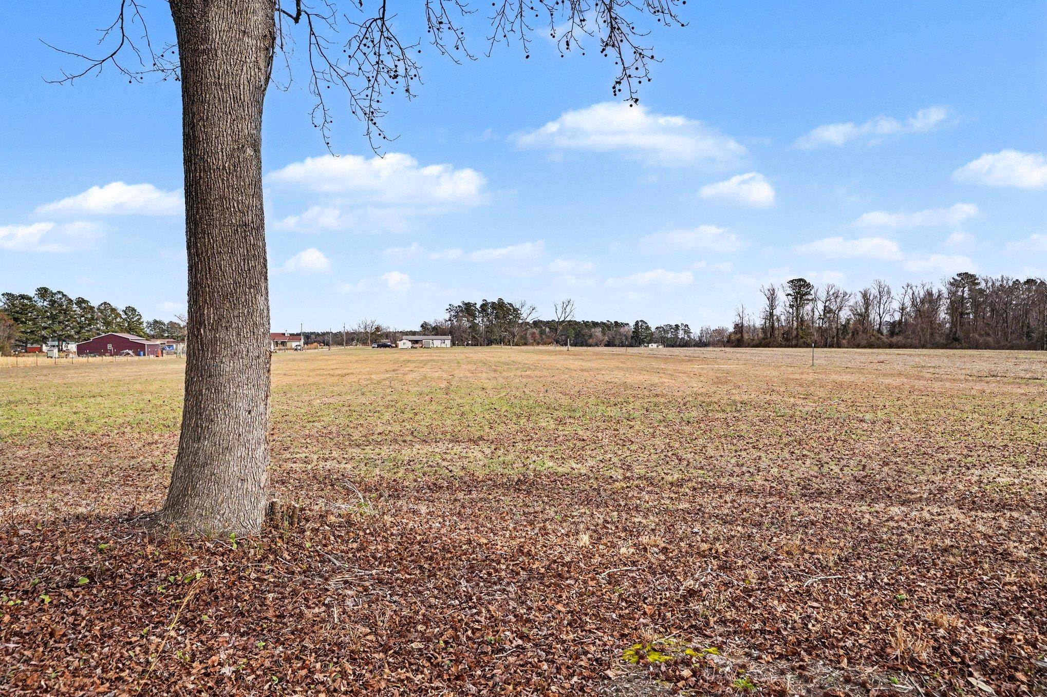 1619 Grain Bin Rd.