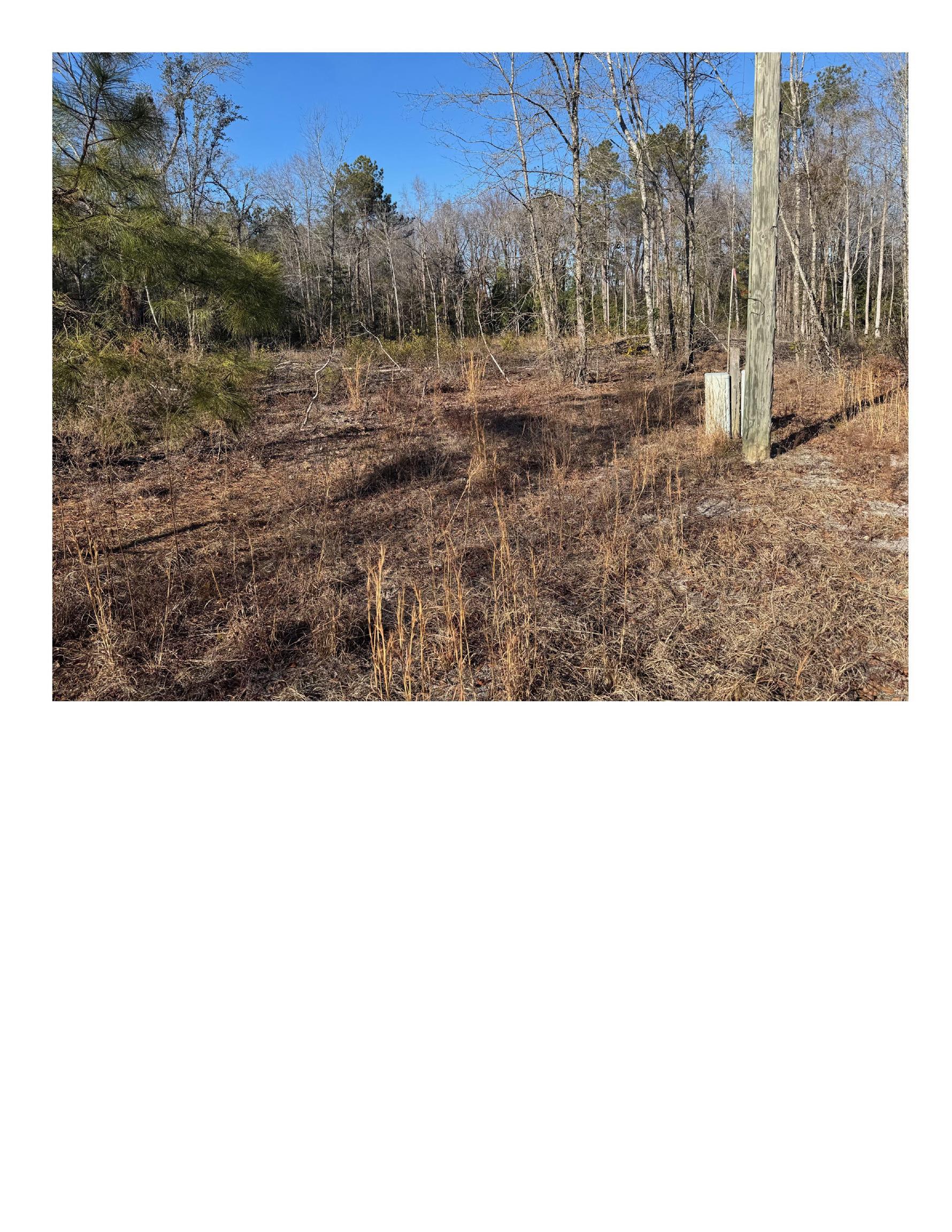 TBD Highway 45