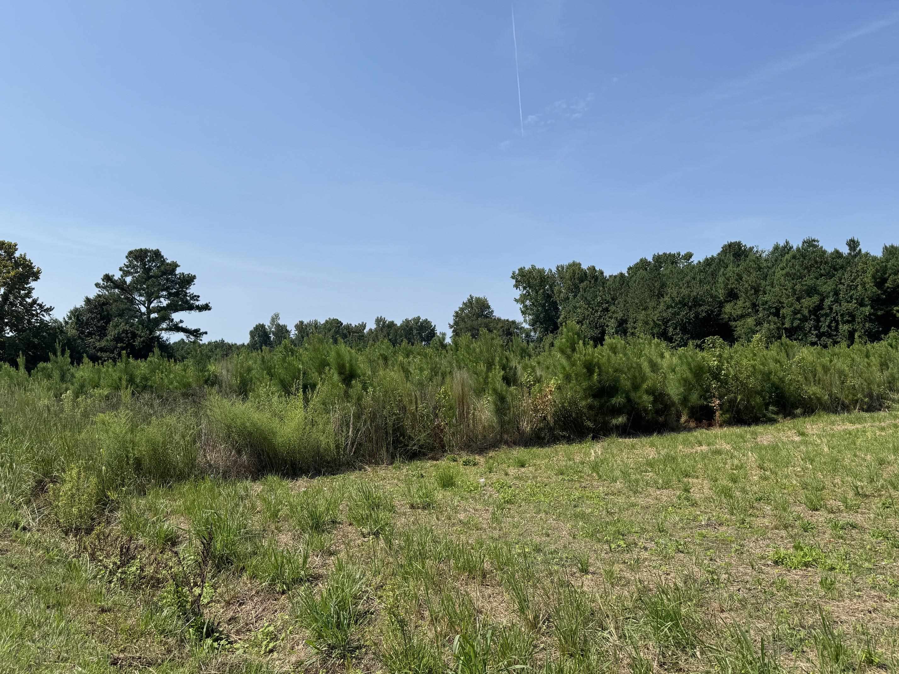 TBD Spring Branch Rd.