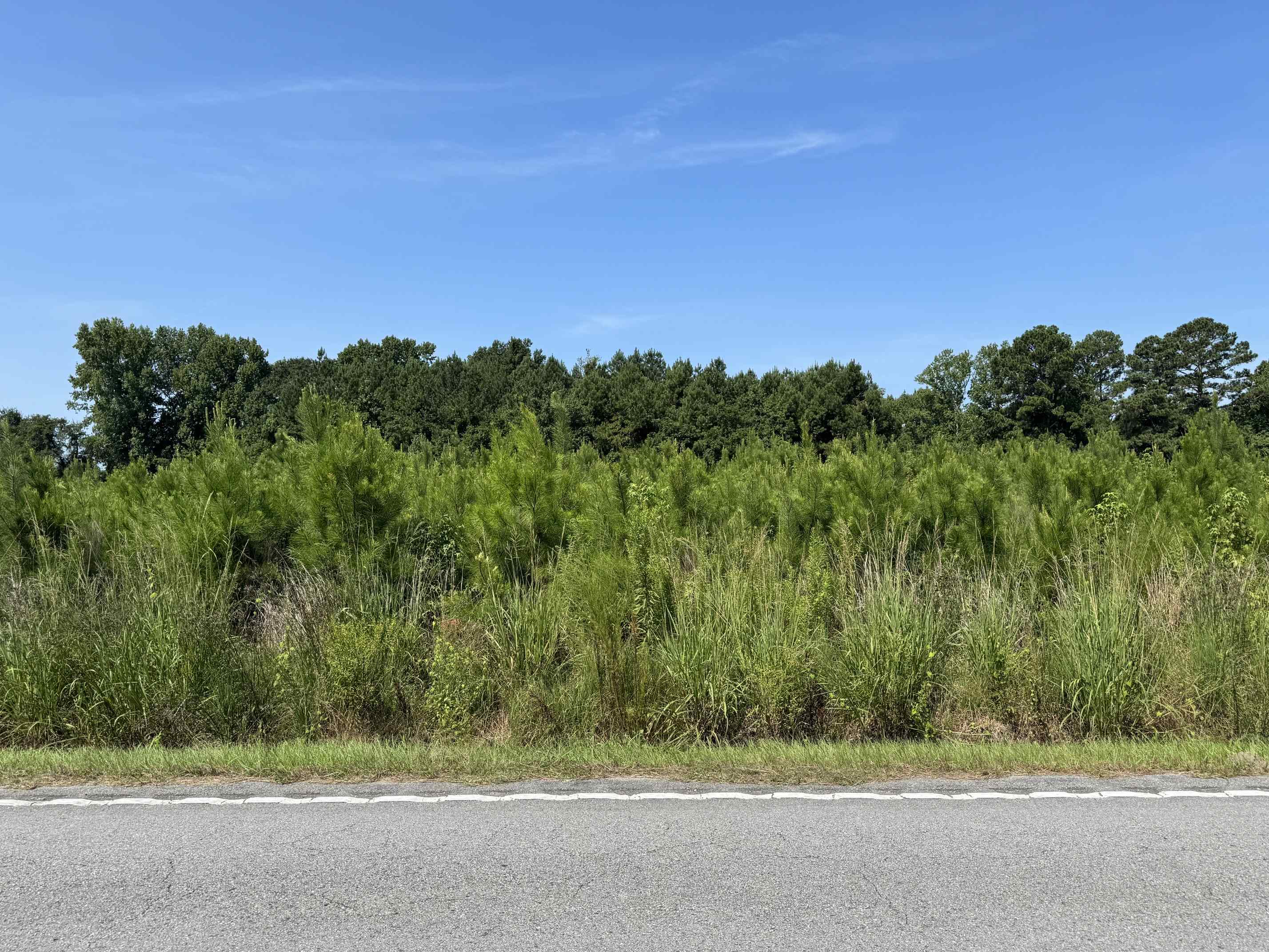 TBD Spring Branch Rd.