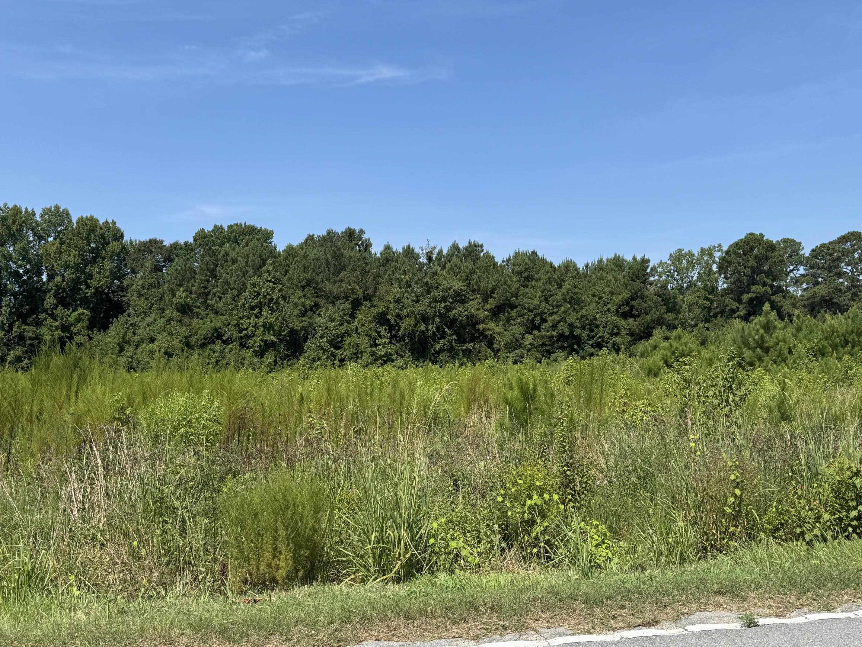 TBD Spring Branch Rd.