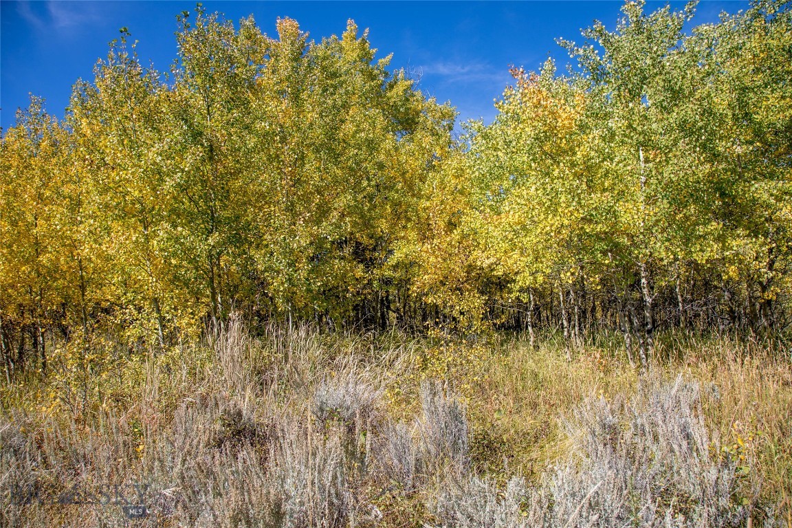 Lot 40 Sun West Ranch