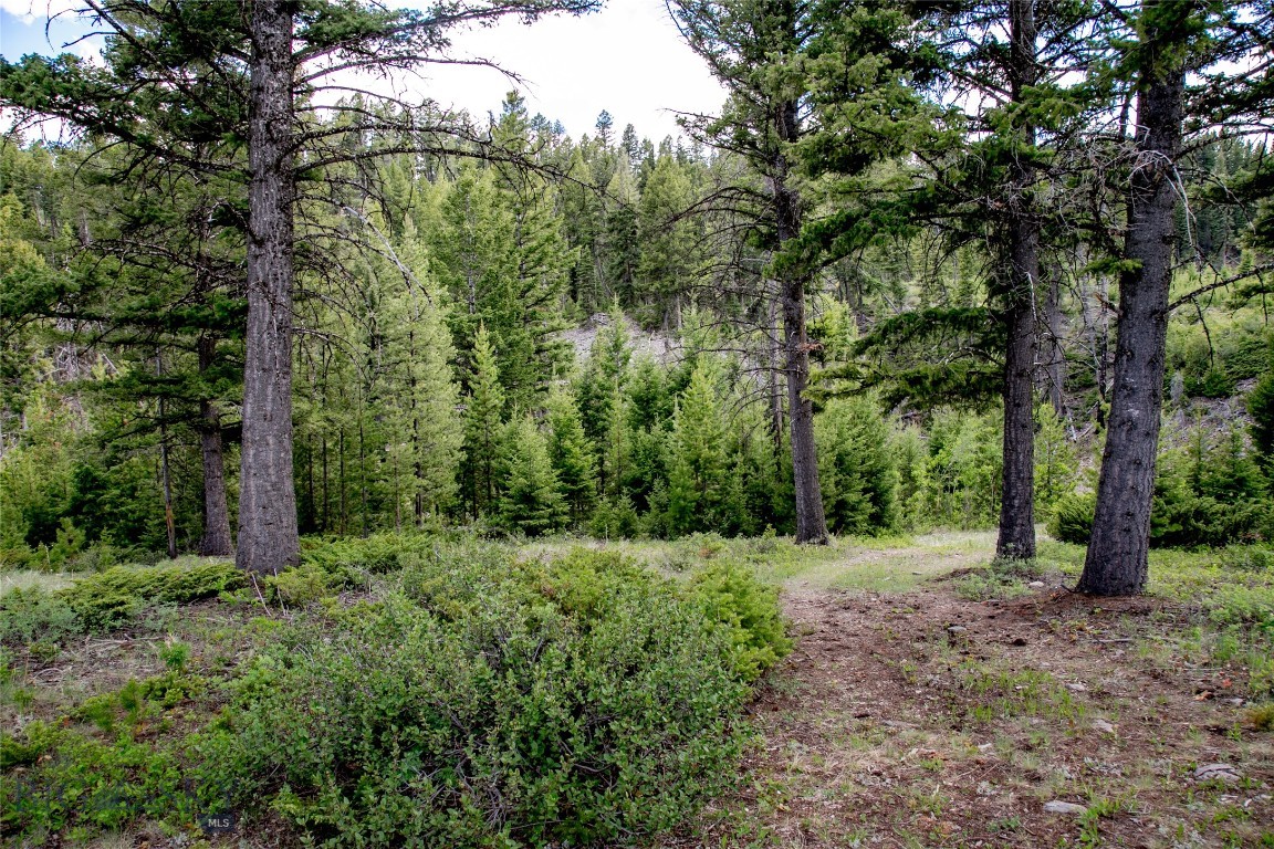 Lot 31 Sun West Ranch