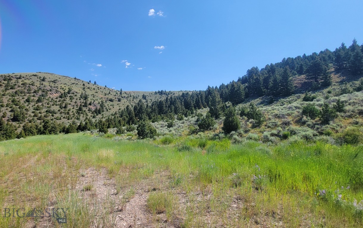 TBD - 245.7 Acres Meagher Trail