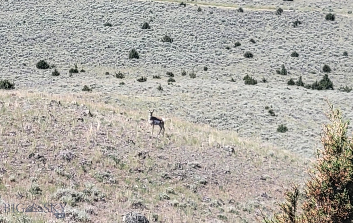 TBD - 245.7 Acres Meagher Trail
