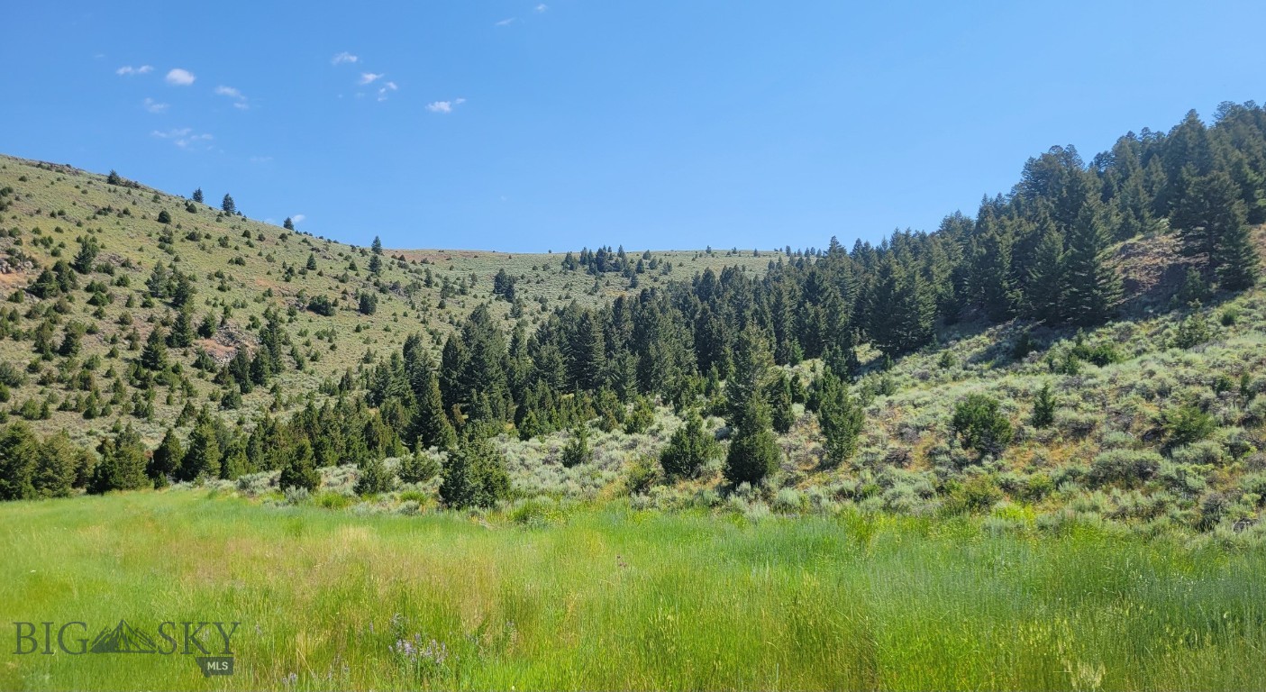TBD - 245.7 Acres Meagher Trail