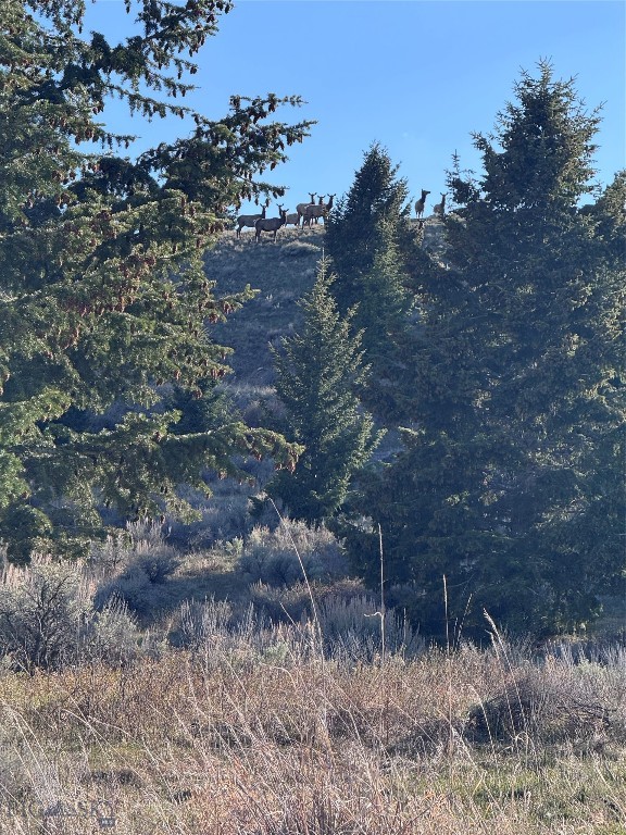 Lot 38 Sun West Ranch