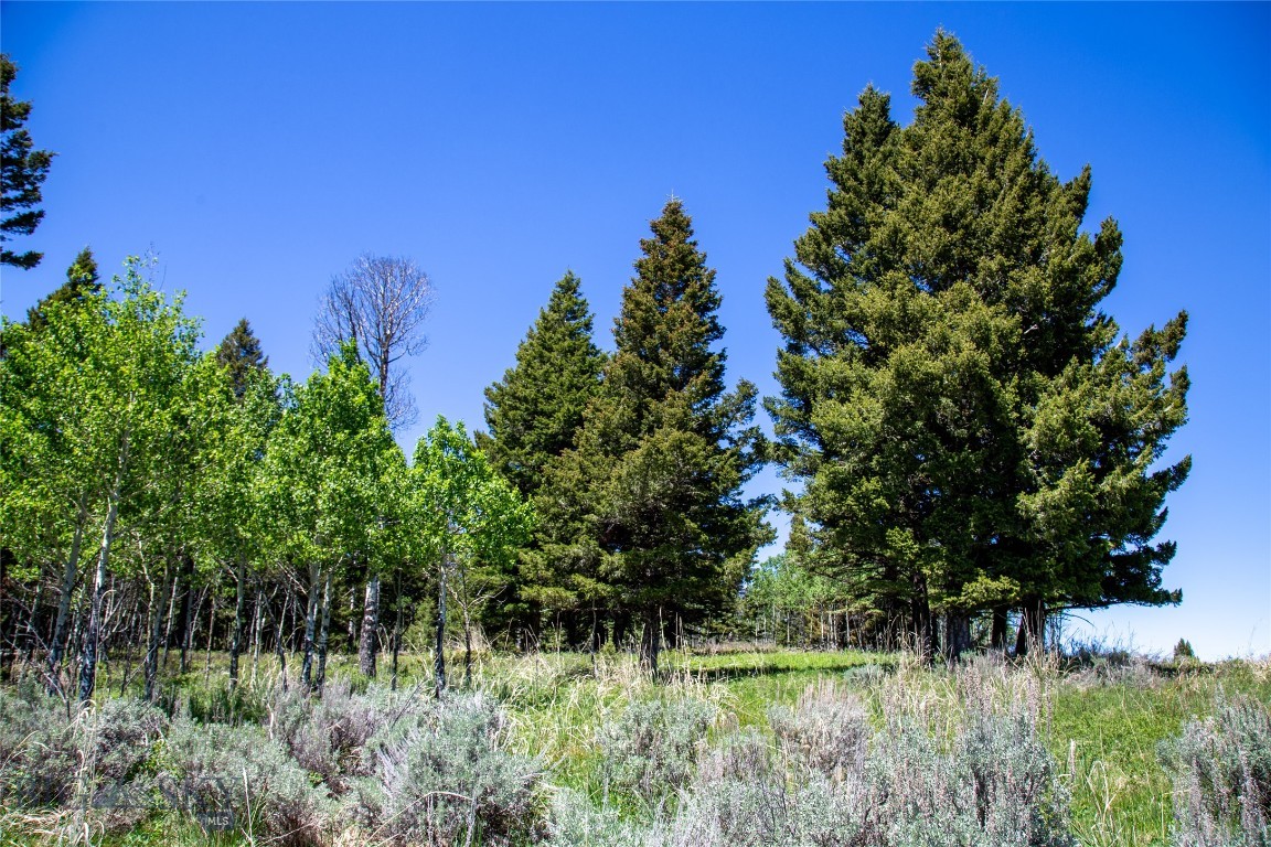 Lot 38 Sun West Ranch