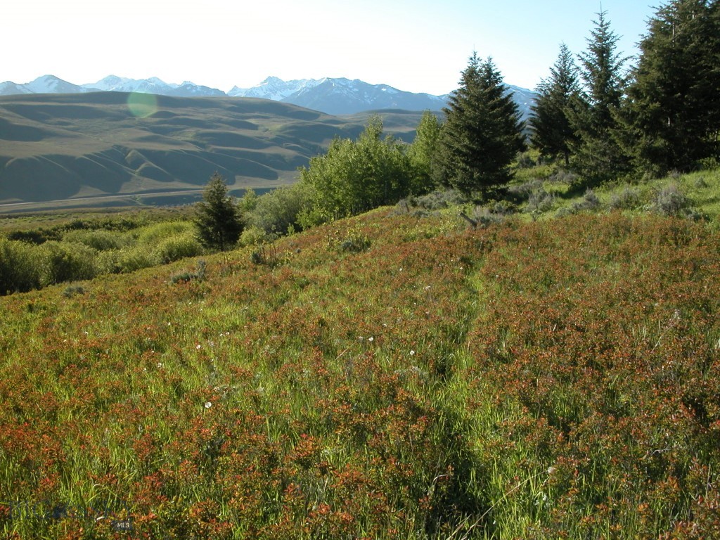 Lot 46A-1 Sun West Ranch