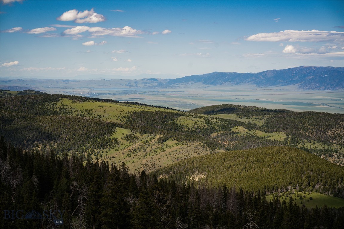 283 Hayfield Loop Trail