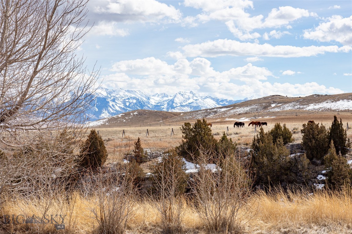 283 Hayfield Loop Trail