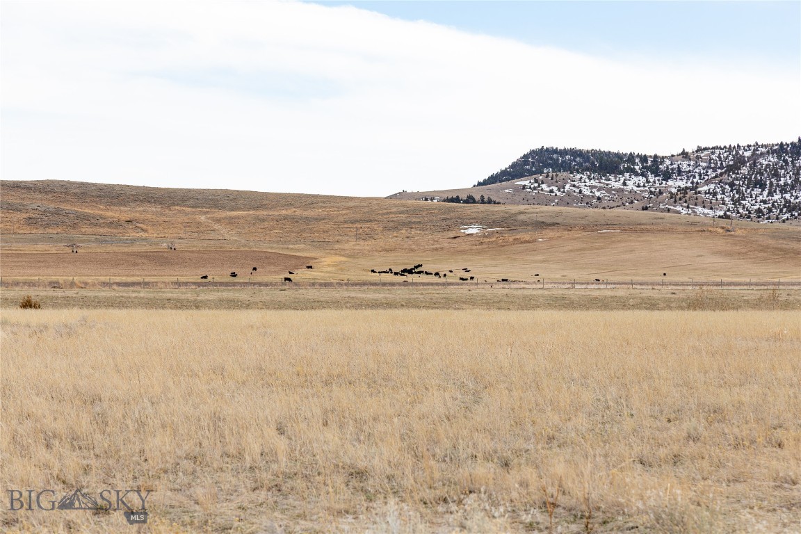 283 Hayfield Loop Trail