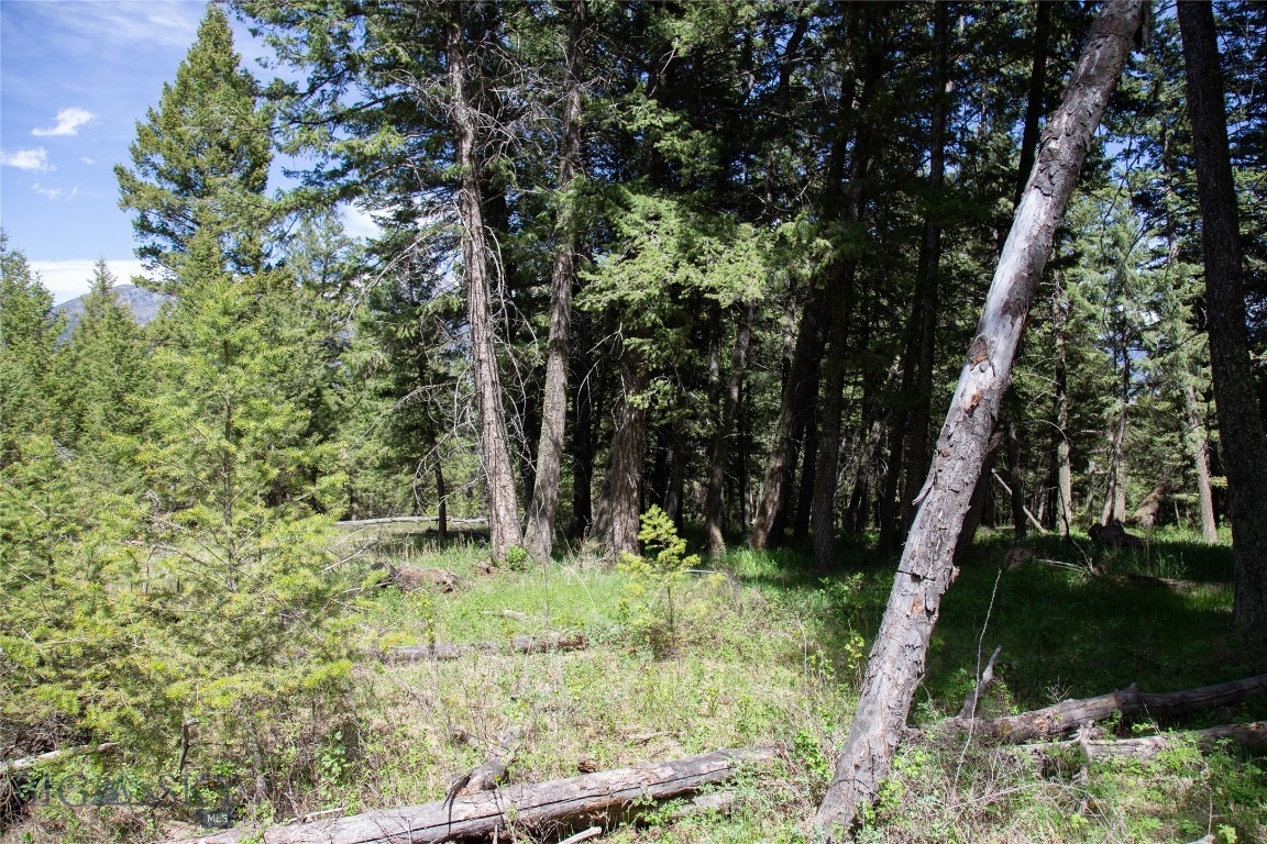 66 Dutchman Trail