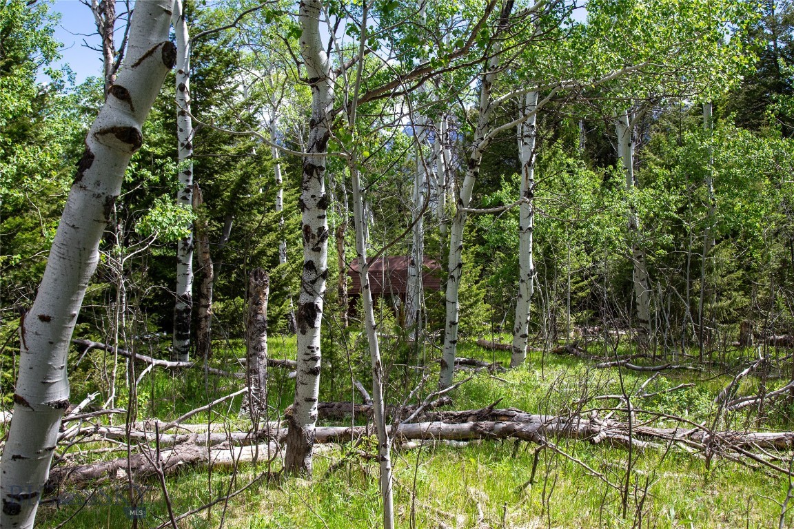 66 Dutchman Trail