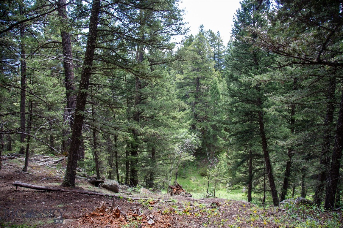 66 Dutchman Trail