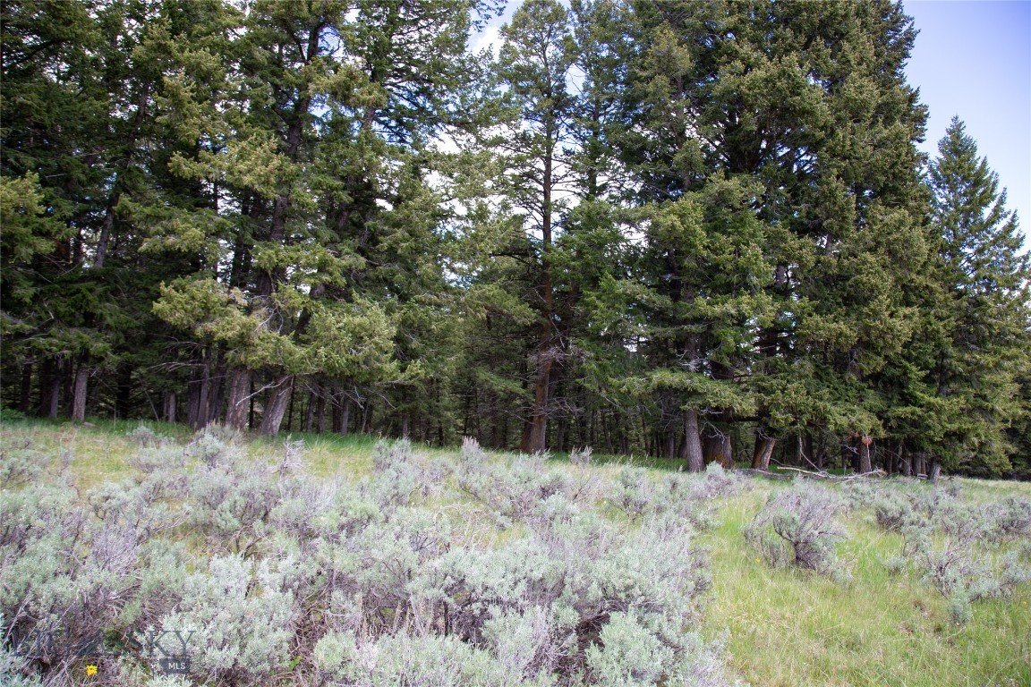 66 Dutchman Trail
