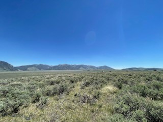 Lot 42 Madison River Ranches