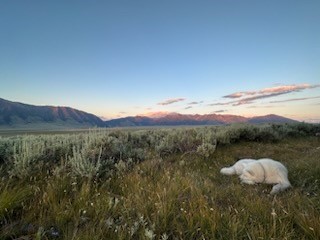 Lot 42 Madison River Ranches