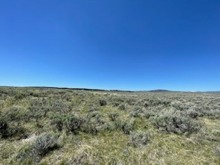 Lot 42 Madison River Ranches