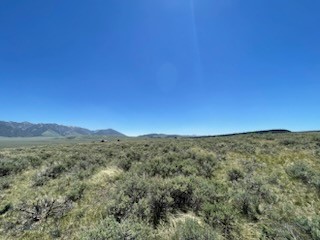 Lot 42 Madison River Ranches