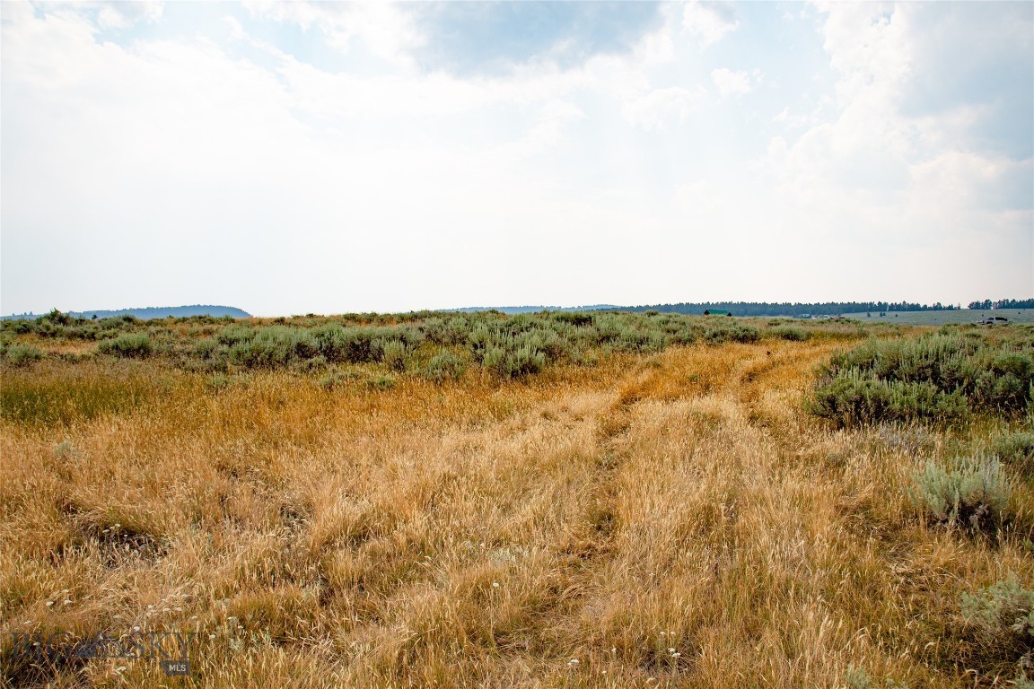 Lot 42 Madison River Ranches