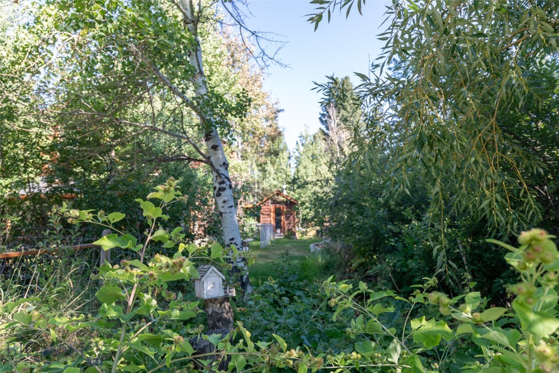 202 W Armitage Street