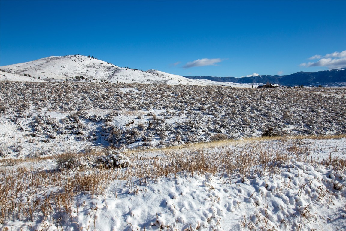 Tract 4 Shining Mountain West