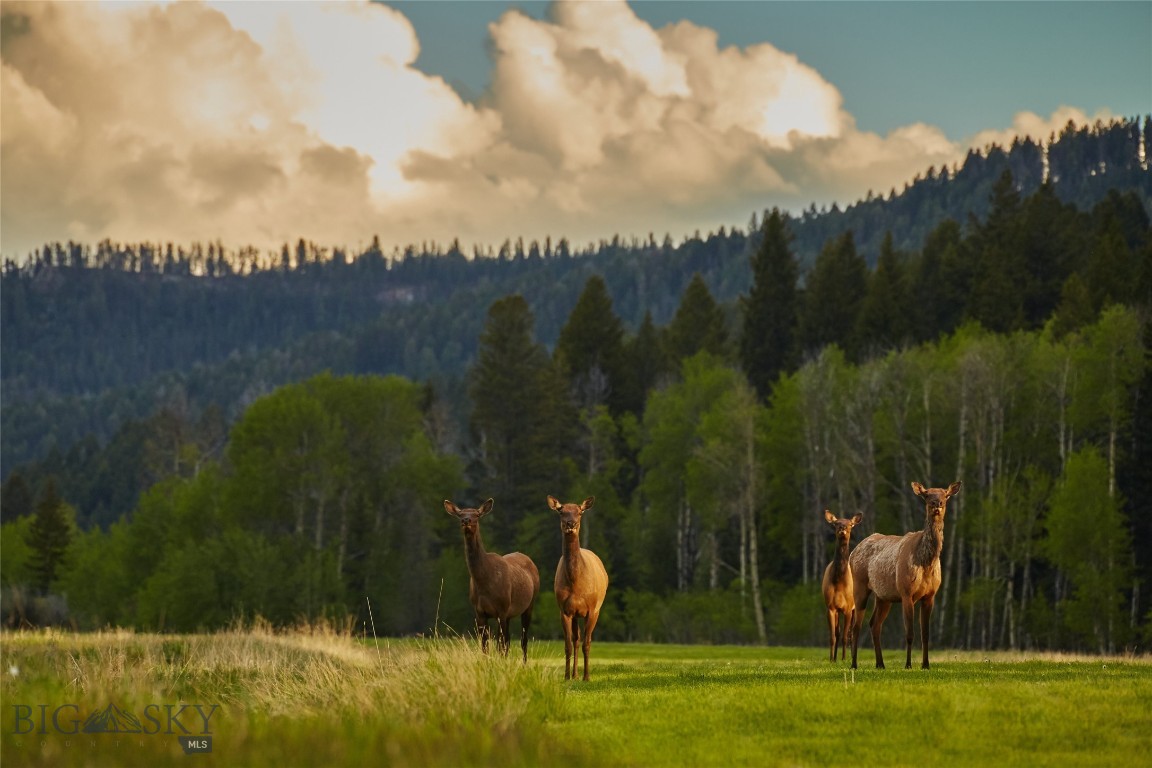 Lot 37 Sun West Ranch