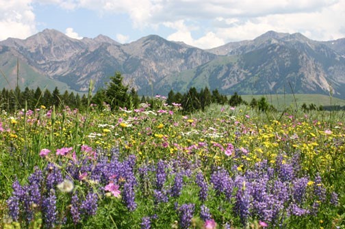 Lot 37 Sun West Ranch