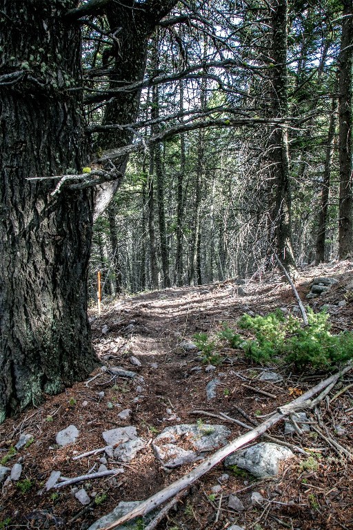 Lot 37 Sun West Ranch