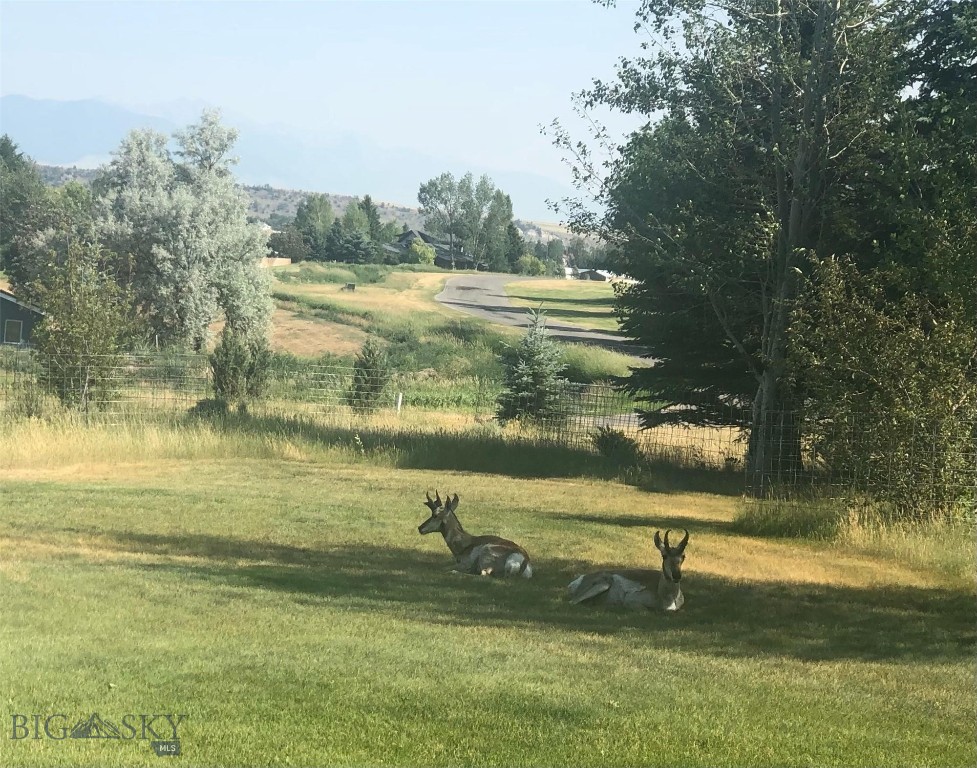 93 Golf Course Drive