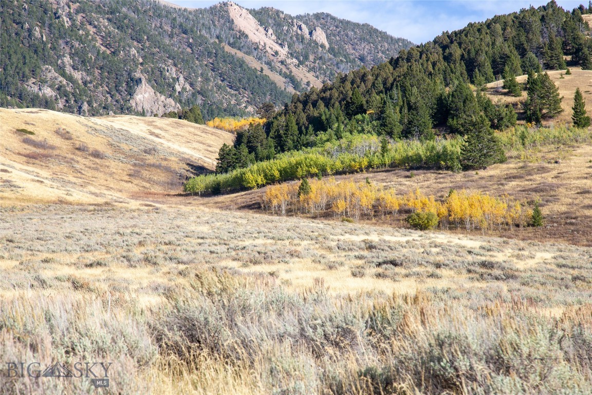 Parcel 77 & GVT Lot 6 -30 acres