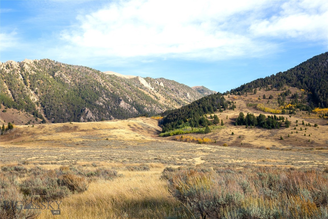 Parcel 77 & GVT Lot 6 -30 acres