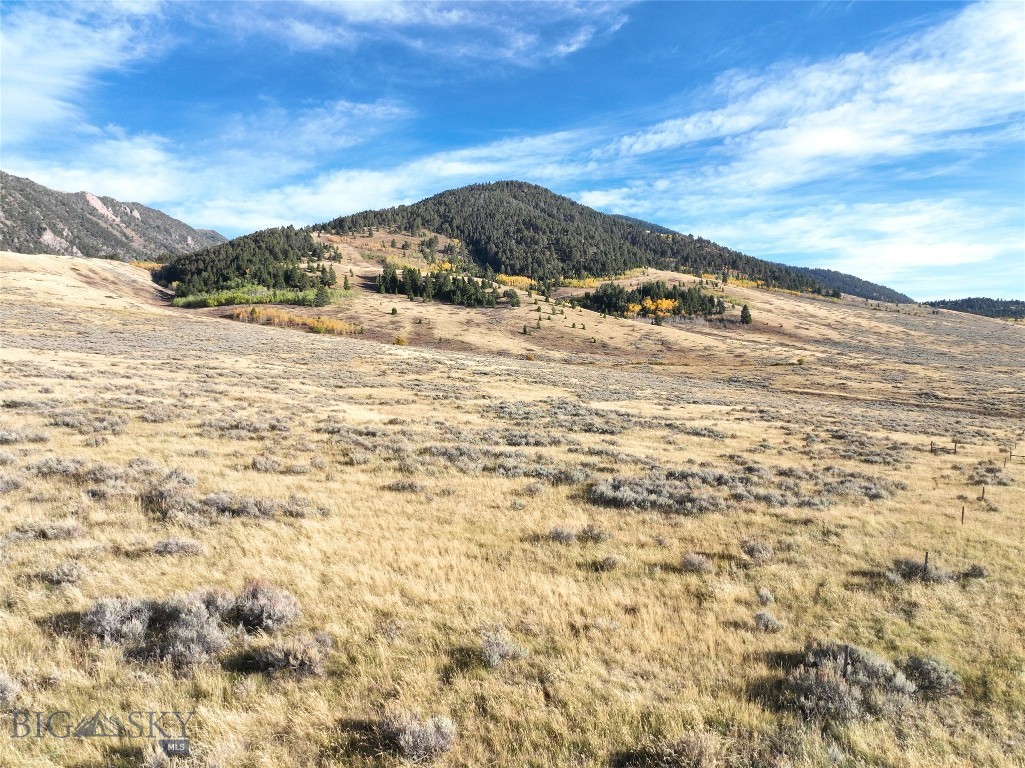 Parcel 77 & GVT Lot 6 -30 acres