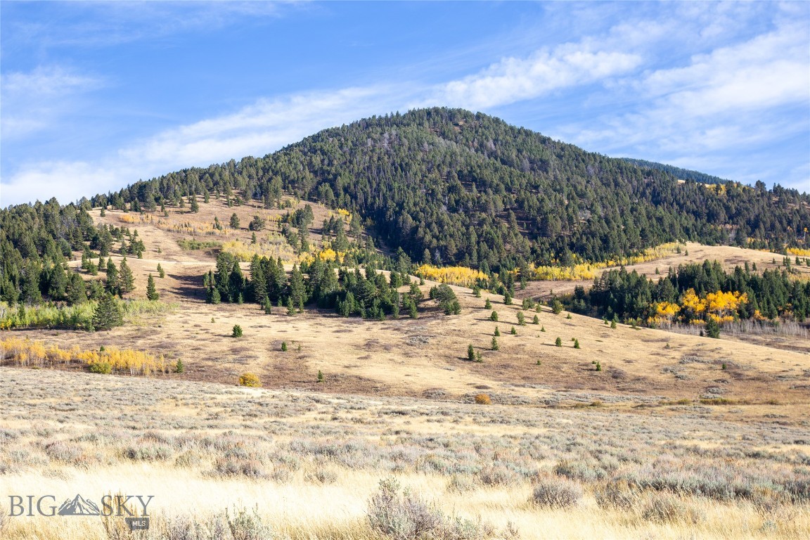 Parcel 77 & GVT Lot 6 -30 acres