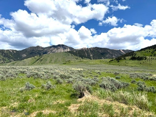 Parcel 77 & GVT Lot 6 -30 acres